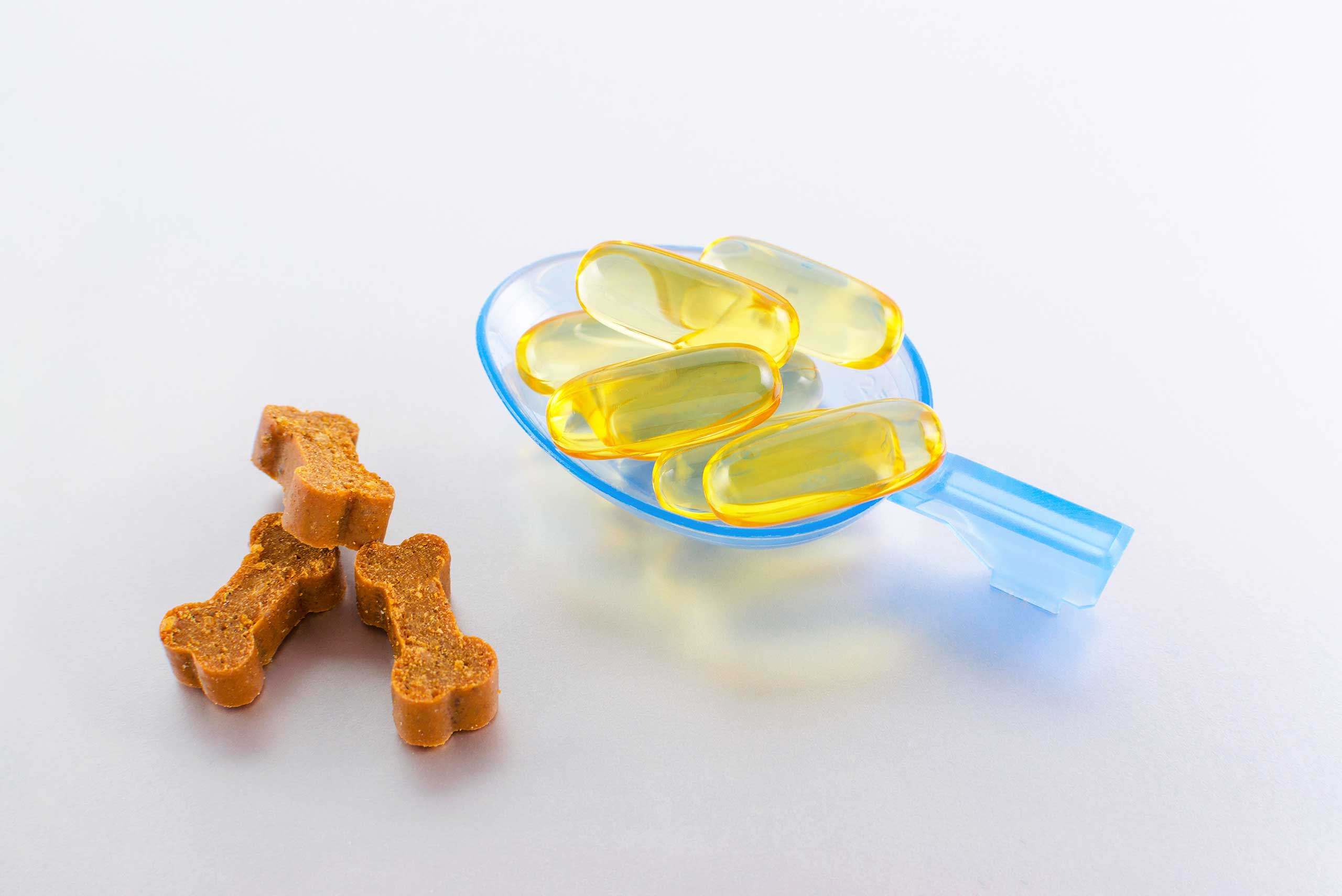 Are Omega-3s Right for Your Dog?